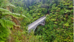 Kanu-Tour: Whanganui River - Kanu -Abenteuer, 3 Tage