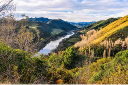 Kanu-Tour: Whanganui River - Kanu -Abenteuer, 3 Tage