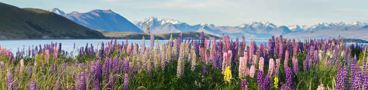 Hotels Lake Tekapo