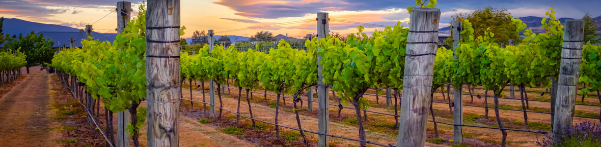 Hotels &amp; Lodges Martinborough 