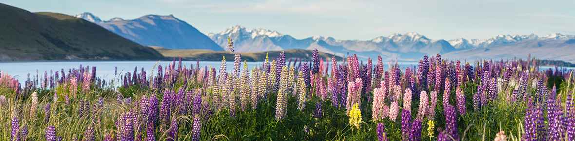 Neuseeland Rundreisen